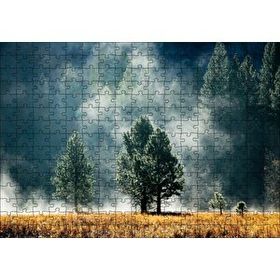 Cakapuzzle Sarı Çayırlar Sık Orman ve Sisler Mdf 255 Parça Puzzle