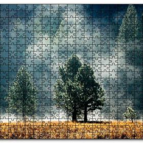 Cakapuzzle Sarı Çayırlar Sık Orman ve Sisler Mdf 500 Parça Puzzle