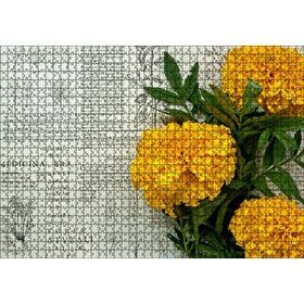 Cakapuzzle Sarı Çiçekler Bitkisel Şifa Kitabı Yaprakları Mdf 1000 Parça Puzzle