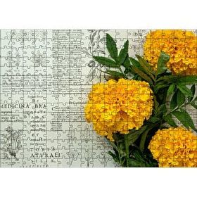 Cakapuzzle Sarı Çiçekler Bitkisel Şifa Kitabı Yaprakları Mdf 255 Parça Puzzle