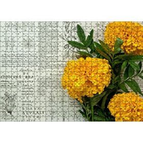 Cakapuzzle Sarı Çiçekler Bitkisel Şifa Kitabı Yaprakları Mdf 500 Parça Puzzle