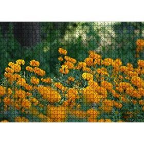 Cakapuzzle Sarı Çiçekli Çalılar Görseli 120 Parça Ahşap Puzzle