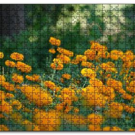 Cakapuzzle Sarı Çiçekli Çalılar Görseli Mdf 1000 Parça Puzzle