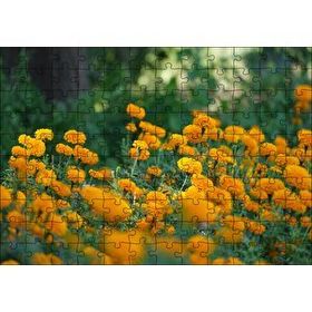 Cakapuzzle Sarı Çiçekli Çalılar Görseli Mdf 120 Parça Puzzle