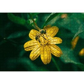 Cakapuzzle Sarı Çiçekten Polen Toplayan Arı 120 Parça Ahşap Puzzle