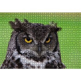 Cakapuzzle Sarı Gözlü Baykuş 1000 Parça Puzzle