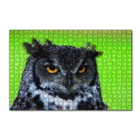 Cakapuzzle Sarı Gözlü Baykuş 120 Parça Ahşap Puzzle