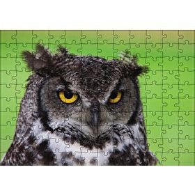 Cakapuzzle Sarı Gözlü Baykuş 120 Parça Ahşap Puzzle