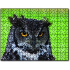 Cakapuzzle Sarı Gözlü Baykuş 255 Parça Puzzle