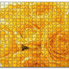 Cakapuzzle Sarı Gül Destesi Görseli Mdf 1000 Parça Puzzle