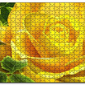 Cakapuzzle Sarı Gül ve Diken Mdf 120 Parça Puzzle