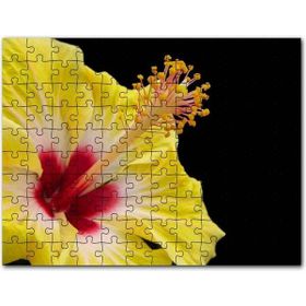 Cakapuzzle Sarı Gülhatmi Çiçeği Yakın Çekim Siyah Arkaplan Mdf 1000 Parça Puzzle