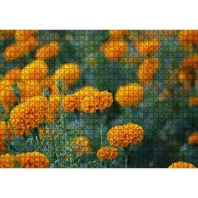 Cakapuzzle Sarı Karanfiller Görseli 120 Parça Ahşap Puzzle