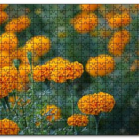 Cakapuzzle Sarı Karanfiller Görseli Mdf 1000 Parça Puzzle