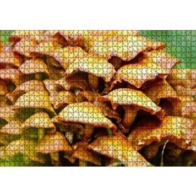 Cakapuzzle Sarı Mantarlar 120 Parça Ahşap Puzzle