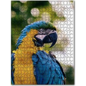 Cakapuzzle Sarı Mavi Macaw Papağanı Ahşap 1000 Parça Puzzle