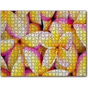 Cakapuzzle Sarı Plumeria Çiçekleri Mdf 500 Parça Puzzle