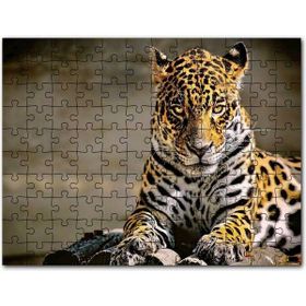 Cakapuzzle Sarı Siyah Beyaz Karışımlı Leopar Görseli 1000 Parça Puzzle