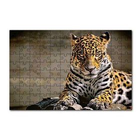 Cakapuzzle Sarı Siyah Beyaz Karışımlı Leopar Görseli 120 Parça Ahşap Puzzle