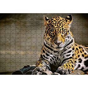 Cakapuzzle Sarı Siyah Beyaz Karışımlı Leopar Görseli 120 Parça Ahşap Puzzle