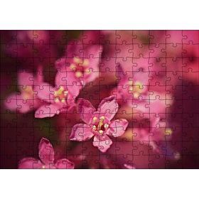 Cakapuzzle Sarı Tohumlu Kırmızı Çiçekler Yakın Çekim 120 Parça Ahşap Puzzle