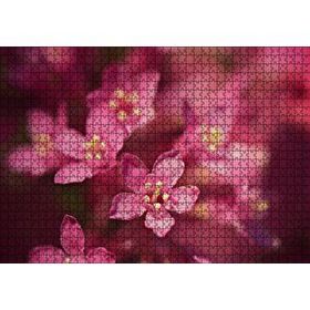 Cakapuzzle Sarı Tohumlu Kırmızı Çiçekler Yakın Çekim Mdf 1000 Parça Puzzle