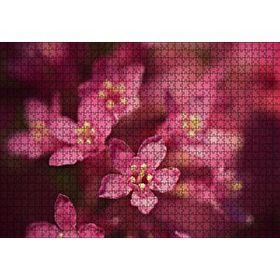 Cakapuzzle Sarı Tohumlu Kırmızı Çiçekler Yakın Çekim Mdf 1000 Parça Puzzle