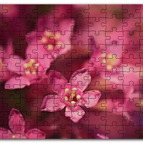 Cakapuzzle Sarı Tohumlu Kırmızı Çiçekler Yakın Çekim Mdf 120 Parça Puzzle
