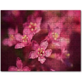 Cakapuzzle Sarı Tohumlu Kırmızı Çiçekler Yakın Çekim Mdf 120 Parça Puzzle