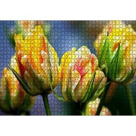Cakapuzzle Sarı Turuncu Yeşil Tonlarda Lale Çiçeği 120 Parça Ahşap Puzzle