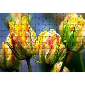 Cakapuzzle Sarı Turuncu Yeşil Tonlarda Lale Çiçeği 120 Parça Puzzle