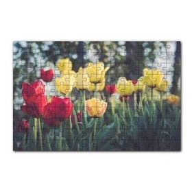 Cakapuzzle Sarı ve Kırmızı Laleler Flu Arkaplan 120 Parça Ahşap Puzzle