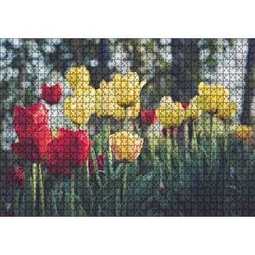 Cakapuzzle Sarı ve Kırmızı Laleler Flu Arkaplan 120 Parça Ahşap Puzzle