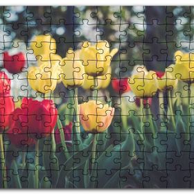 Cakapuzzle Sarı ve Kırmızı Laleler Flu Arkaplan Mdf 500 Parça Puzzle