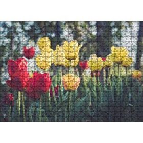 Cakapuzzle Sarı ve Kırmızı Laleler Flu Arkaplan Mdf 500 Parça Puzzle
