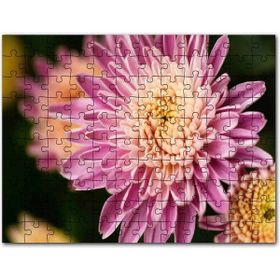 Cakapuzzle Sarı ve Pembe Çiçek Yakın Çekim Flu Arkaplan Mdf 1000 Parça Puzzle