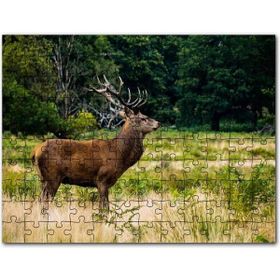 Cakapuzzle Sarı Yeşil Otlar Arasında Ren Geyiği ve Orman Mdf 120 Parça Puzzle
