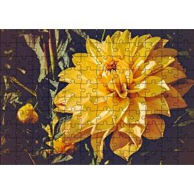 Cakapuzzle Sarı Yıldız Çiçeği Yakın Çekim 120 Parça Ahşap Puzzle