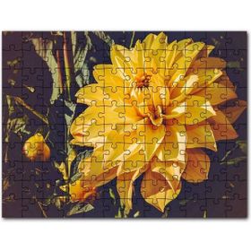 Cakapuzzle Sarı Yıldız Çiçeği Yakın Çekim Mdf 255 Parça Puzzle