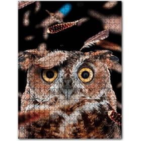 Cakapuzzle Şaşkın Baykuş ve Uçuşan Tüyleri Ahşap 255 Parça Puzzle
