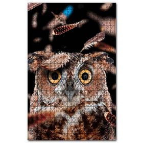 Cakapuzzle Şaşkın Baykuş ve Uçuşan Tüyleri Ahşap 500 Parça Puzzle