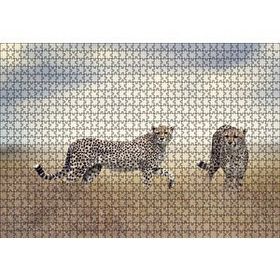 Cakapuzzle Savanada Av Hazırlığındaki Çitalar Mdf 1000 Parça Puzzle