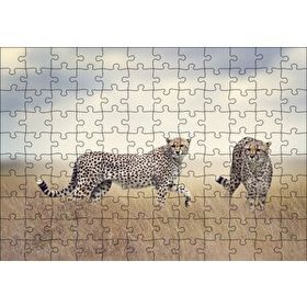 Cakapuzzle Savanada Av Hazırlığındaki Çitalar Mdf 120 Parça Puzzle