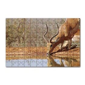 Cakapuzzle Savanada Diz Çökmüş Su İçen İmpala 120 Parça Ahşap Puzzle