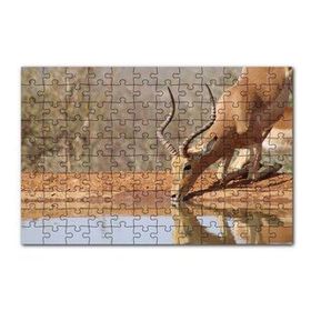 Cakapuzzle Savanada Diz Çökmüş Su İçen İmpala 120 Parça Ahşap Puzzle
