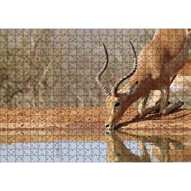 Cakapuzzle Savanada Diz Çökmüş Su İçen İmpala 120 Parça Ahşap Puzzle
