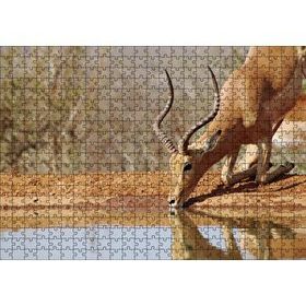 Cakapuzzle Savanada Diz Çökmüş Su İçen İmpala 120 Parça Ahşap Puzzle