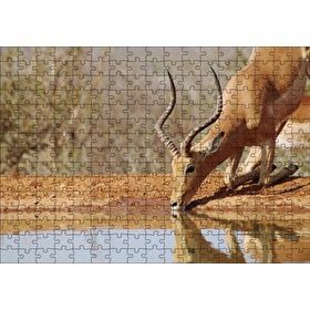 Cakapuzzle Savanada Diz Çökmüş Su İçen İmpala 120 Parça Ahşap Puzzle