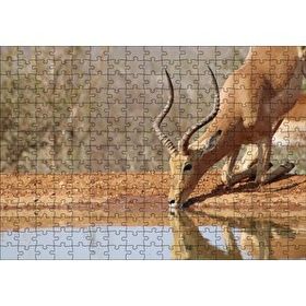 Cakapuzzle Savanada Diz Çökmüş Su İçen İmpala 120 Parça Ahşap Puzzle