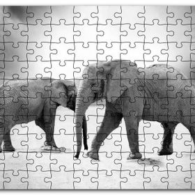 Cakapuzzle Savanada İki Fil ve Bulutlu Gökyüzü Monokrom Mdf 255 Parça Puzzle
